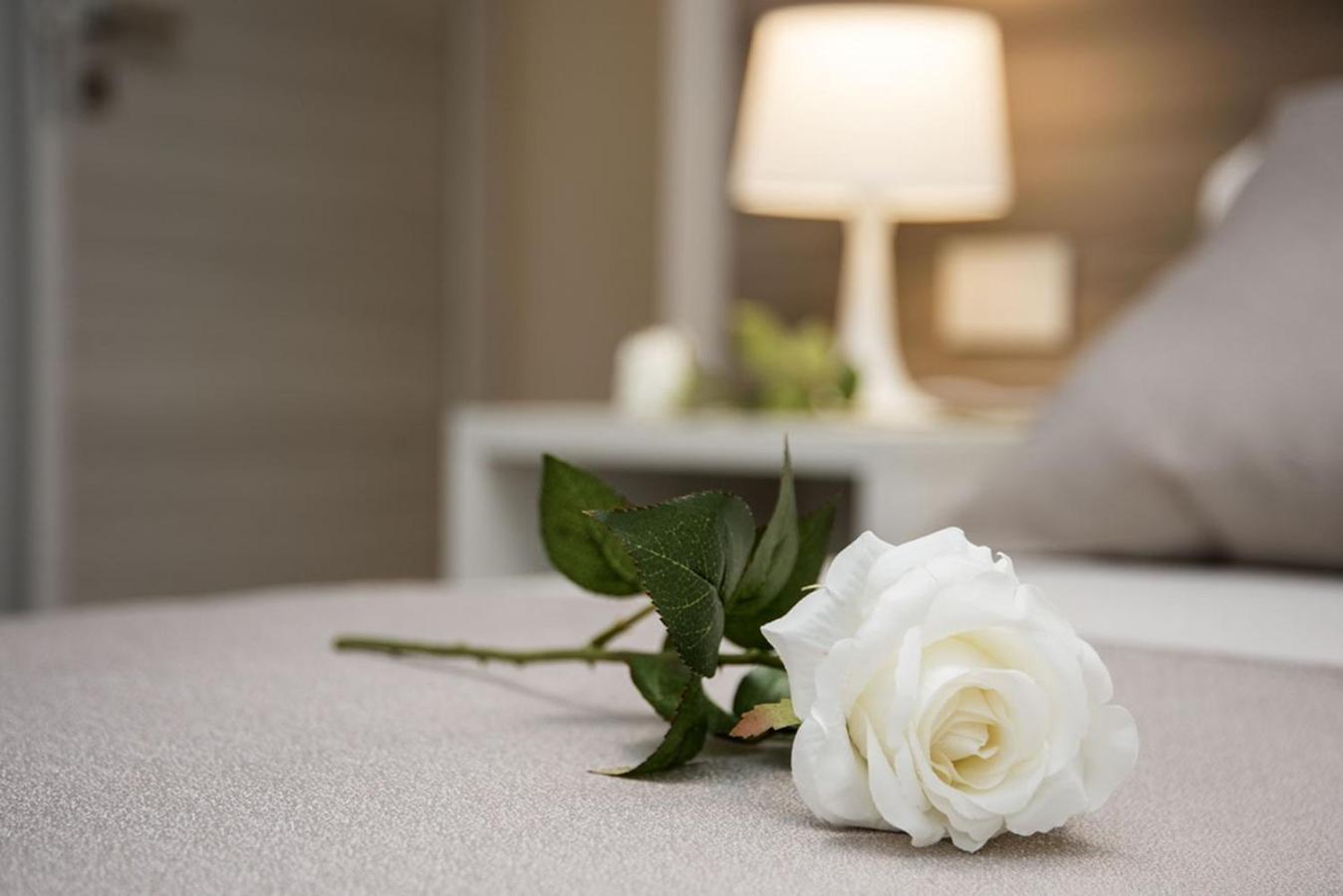 Camelot Appartamenti - Business E Holiday San Martino Buon Albergo Dış mekan fotoğraf